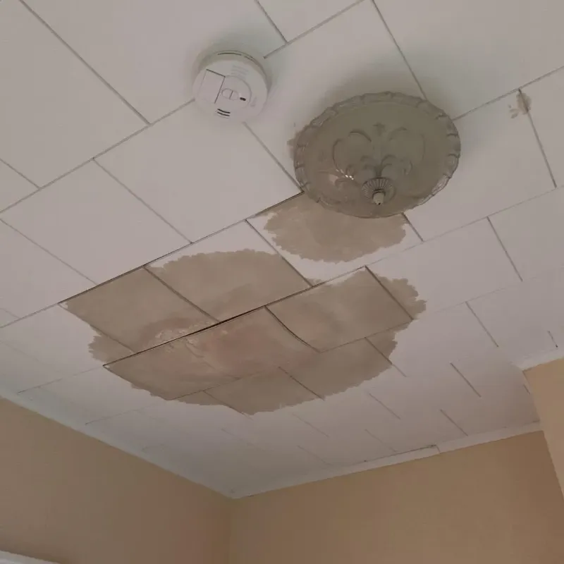 Ceiling Water Damage Repair in Clay County, IN
