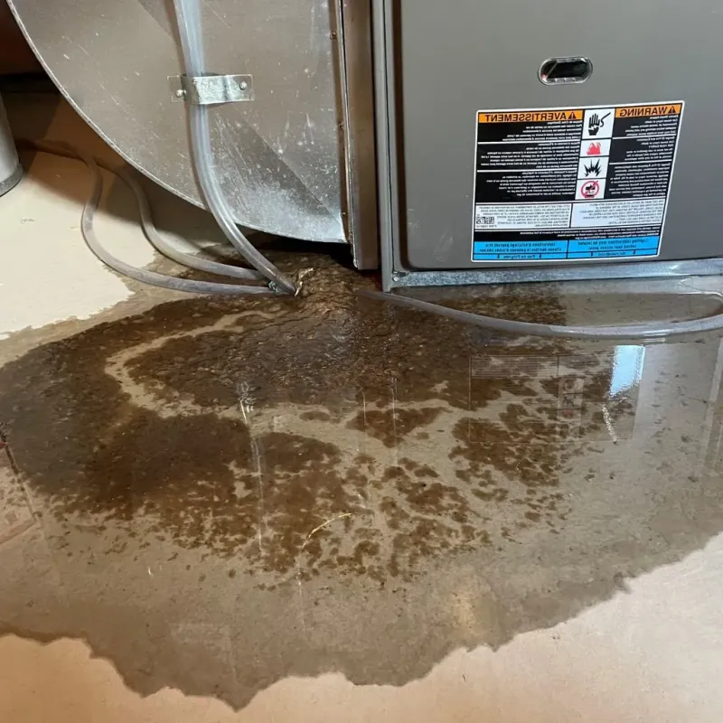 Pipe Burst and Leak Restoration in Clay County, IN