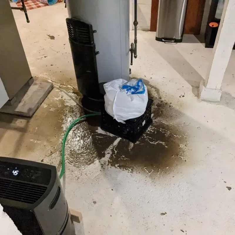 Sewage Backup Cleanup Service in Clay County, IN